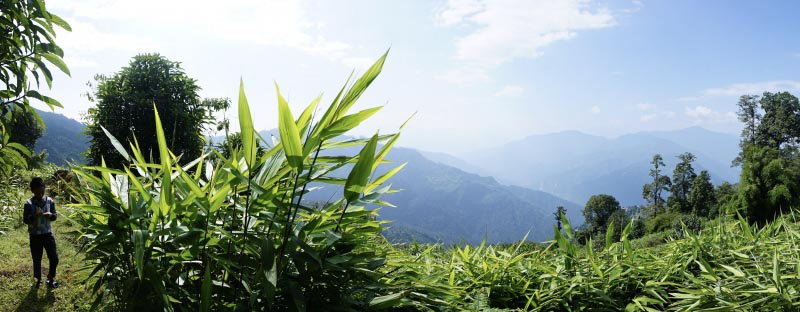 A Short Jungle Trek To Sillery Gaon