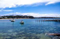 A slice of Wedding Cake Rock