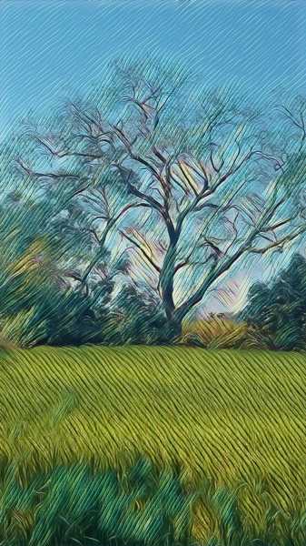 A Splendid Sunday.. And The Long Awaited Walk To The River!