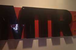 A surprising find…MTR 1924, JP Nagar Mini Forest