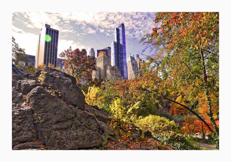 A Taste Of The Surreal - Walking Through Central Park 