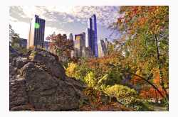 A taste of the surreal - Walking through Central Park 