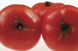 A to Z of Phytochemicals