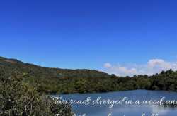 A trip to Shimoga- A comprehensive travel guide