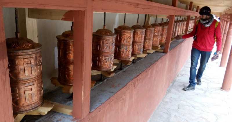 A Turned Over Leaf On The Greener Side Of The Grass!!