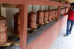 A turned over leaf on the greener side of the grass!!