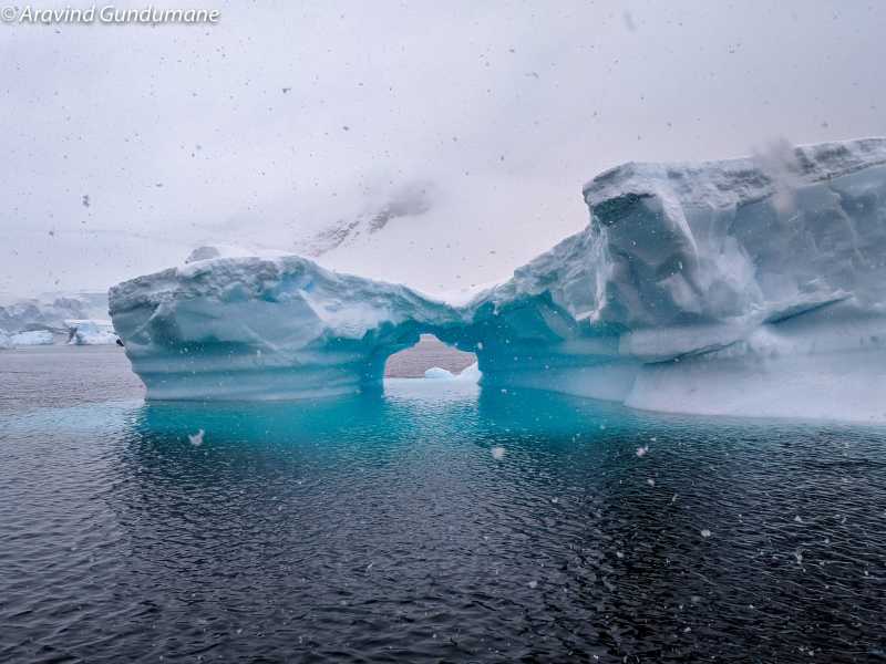 A Typical Day In Antarctica - Treks And Travels
