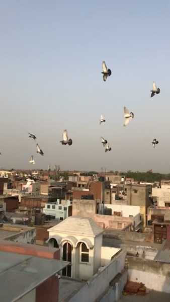 A Visit To HAVELI DHARAMPURA