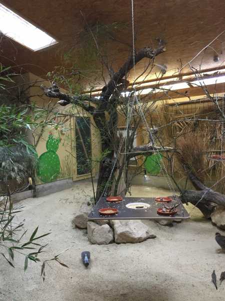 A Visit To A Nearby Animalworld