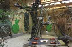 A visit to a nearby Animalworld