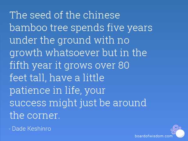 A Year That Wasn’t !!! 2015