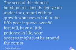 A year that wasn’t !!! 2015