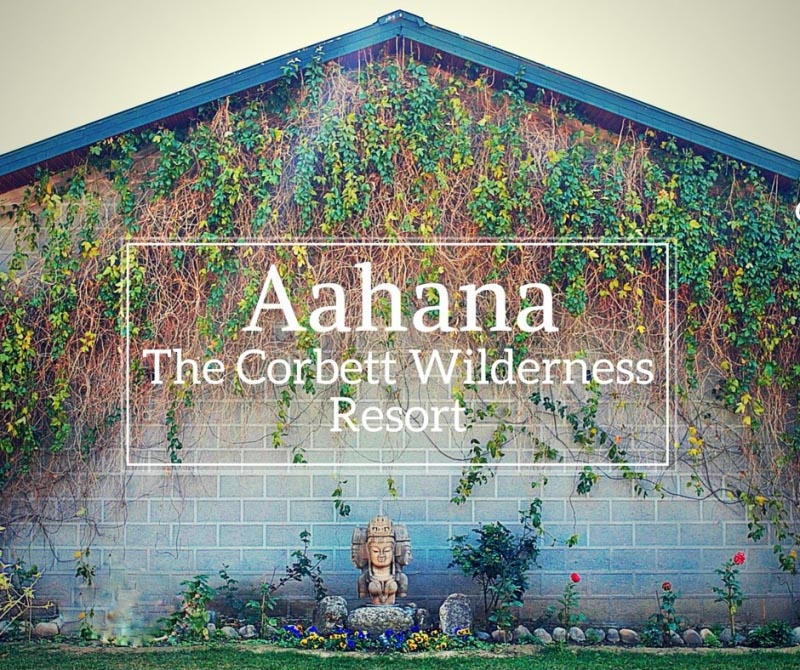 Aahana Resort In Jim Corbett National Park: Get More Out Of Your Next Trip Than Just Adventure!
