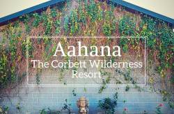 Aahana Resort in Jim Corbett National Park: Get More Out of Your Next Trip Than Just Adventure!