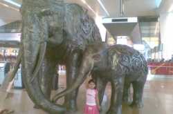 About Delhi Airport, Metro Rail and others