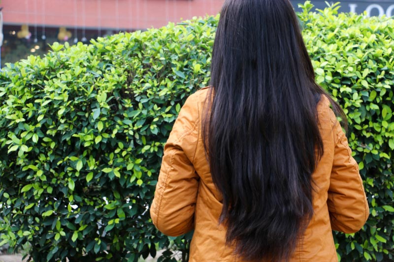 About Hair Nourishment At Metamorphosis Clinic