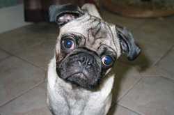 About Laziness, Seat-Belts and Meaningless Crap