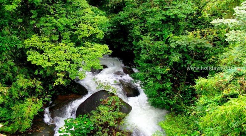 About Sakleshpur In Karnataka - Homestay In Sakleshpur | Resorts In Sakleshpur | Coffee Estate