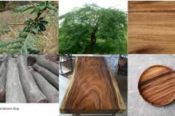 Acacia vs. Teak Wood (and Straight grain vs. Interlocked grain)