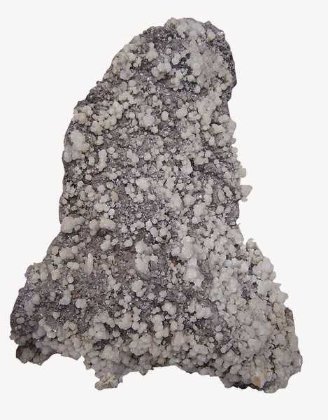 Acne Program: Vitamins You Should Be Taking