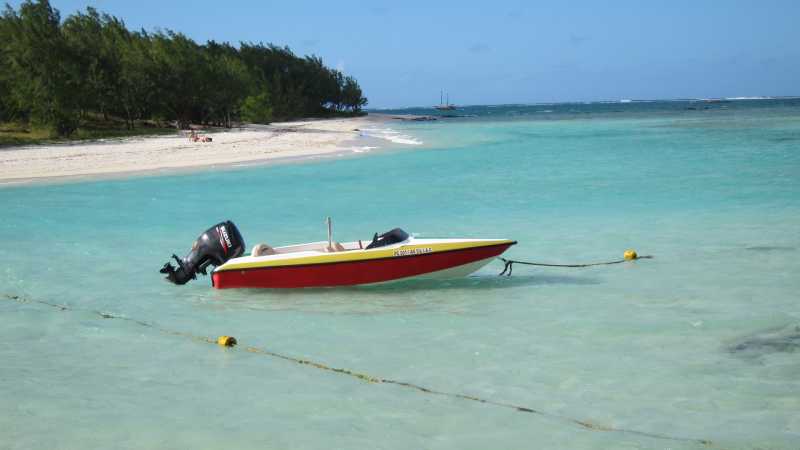 Acres Of Sugar Cane - Fulltank Please