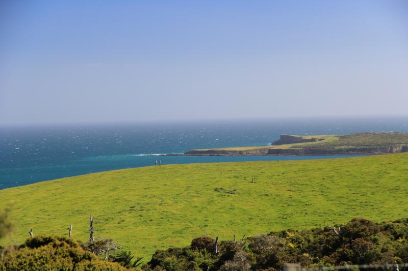 Across New Zealand In A Camper Van