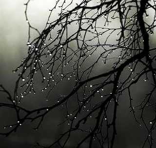 Act Your Age - Wanderer Wordweaver Woman