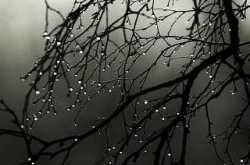 Act your age - Wanderer Wordweaver Woman