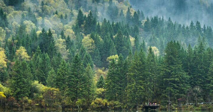 Add A Start Button To Your Android Interface