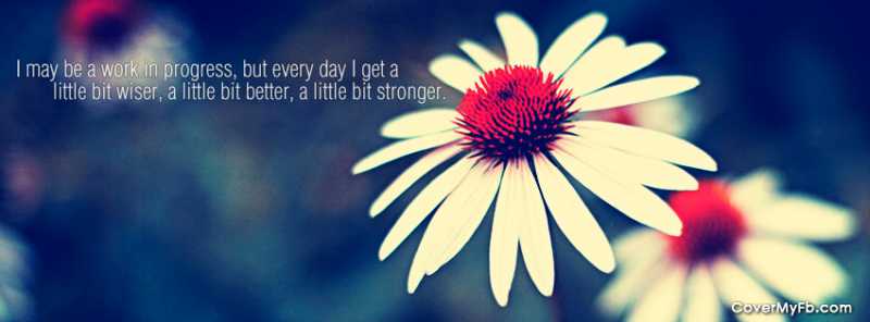 AddACover Facebook Covers