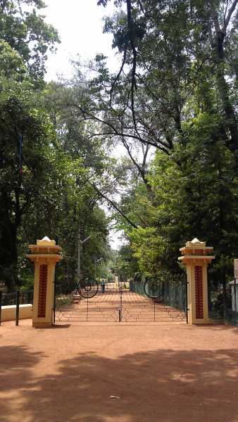 Adventures Of A Single,Female Backpacker - VII