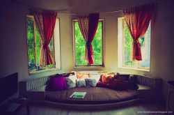 Adventures of the white house