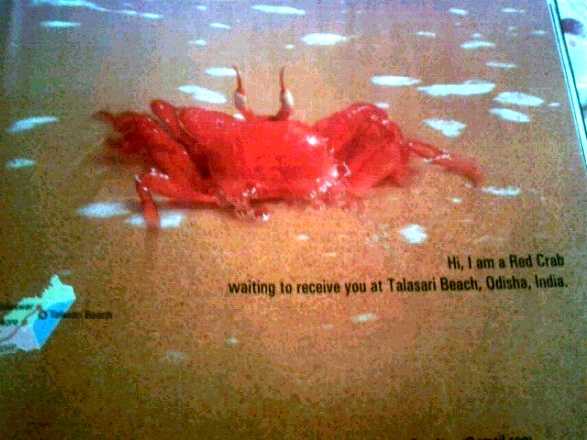 Advertisements? Or MAD-vertisements?