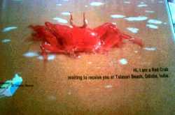 Advertisements? Or MAD-vertisements?