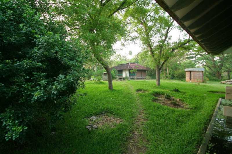 Afsanah @ Auroville: A Zen Experience