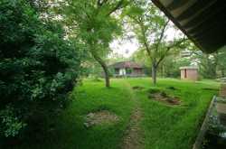 Afsanah @ Auroville: A Zen Experience