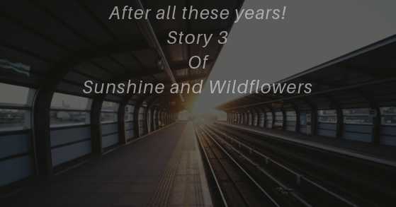 After All These Years : Story 3 Of Sunshine And Wildflowers