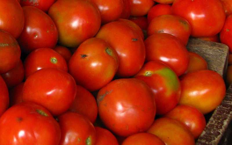 After Onion & Pulses, Soaring Price Of Tomatoes Leave Govt Red-faced; Common Man Suffers