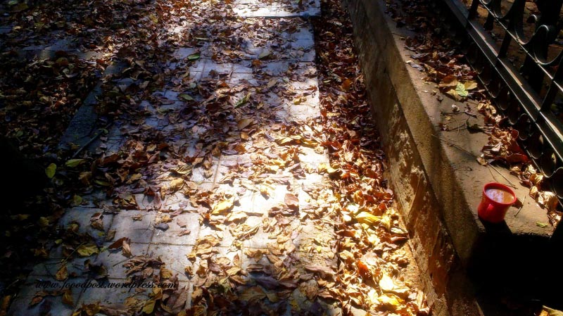 Afternoon Chai And February Pavements