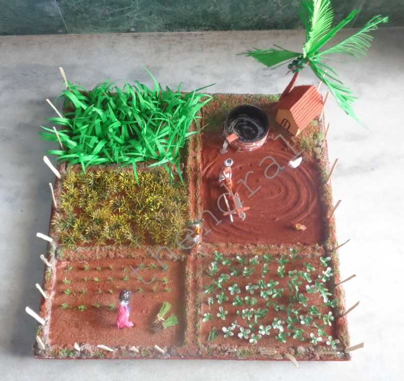 Agriculture Field Model 