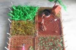 Agriculture field model 