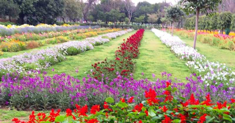 Air Marshal Arjan Singh And Memories Of How My Father Inspired My Love Of Storytelling, Reading And Writing