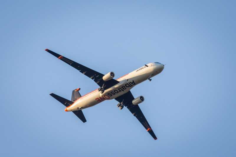 Airbus Takes Inspiration From The Albatross On Their Next Airplane Wing Design - Live From A Lounge