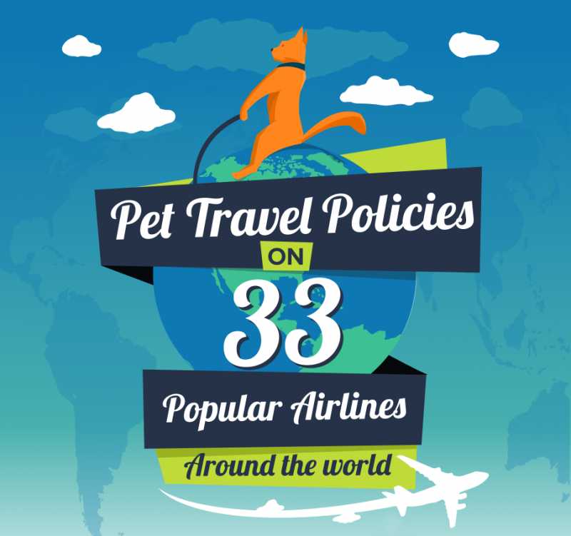Airline Policies Imposed When Traveling With Pets By Oursamyatra