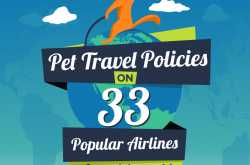 Airline Policies Imposed When Traveling With Pets By Oursamyatra