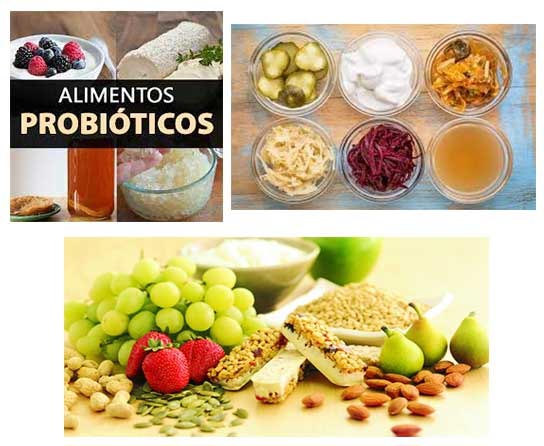 Alimentos Probióticos ▷ Función Y Sus Beneficios ▷ Alimentos-para.com