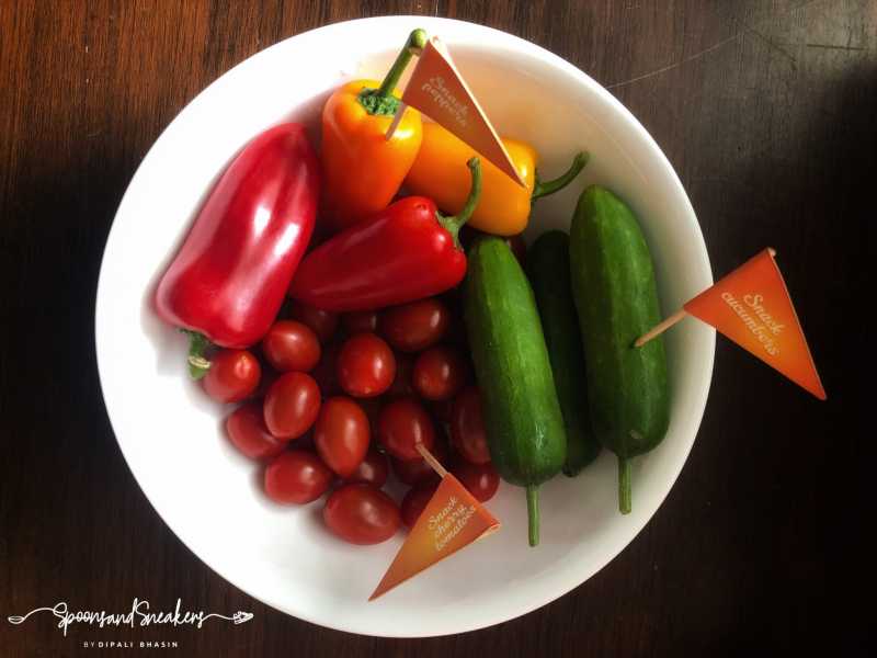 All About Hydroponics - A Nature’s Miracle