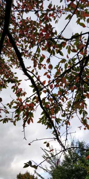 All I Want You To Do Right Now Is Write A Love Letter To Yourself, That’s All