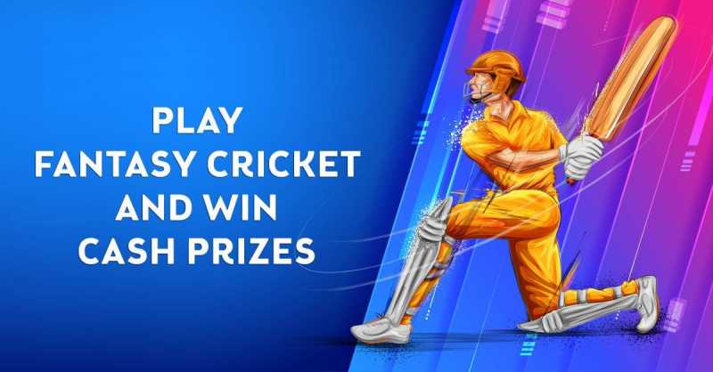 All You Need To Know About Fantasy Cricket - Vidlyf