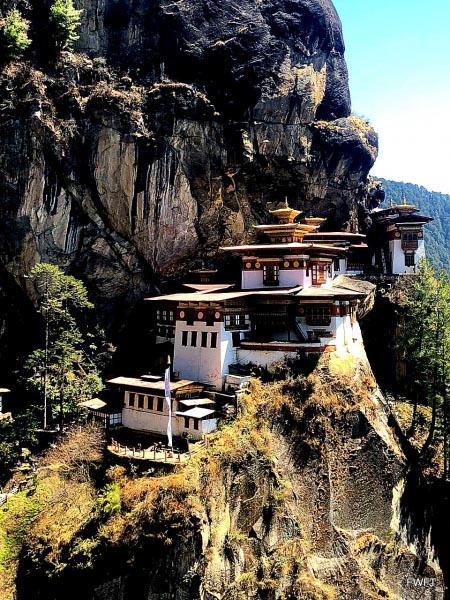 All You Want To Know About Tiger’s Nest Or Taktsang Monastery Trek; Bhutan
